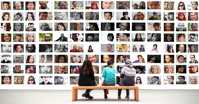 L'Influence des Critères Sociaux dans les Classements Culturels